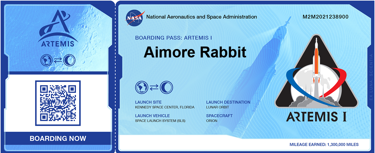 boarding pass Artemis NASA
